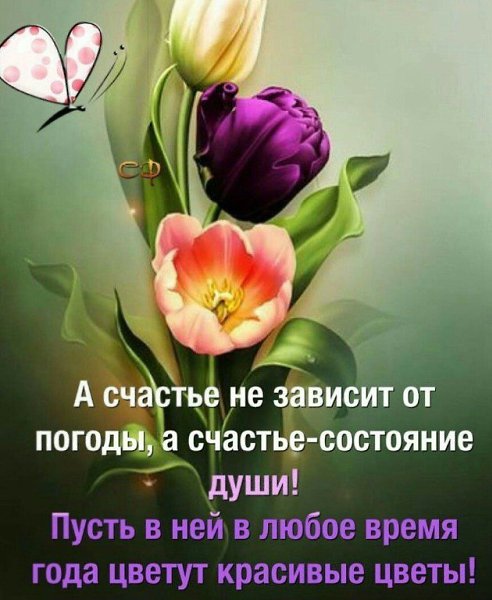 ����������� � ���������, �������� �� ������ ����. - 30 ������� 2019 � 09:23