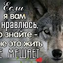 ���� �����, ������, 52 ���� - ��������� 24 ������� 2019 � ������ ���� ����������