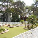 ���� ������, ����������� - ��������� 16 ������� 2019 � ������ ������ � ���������