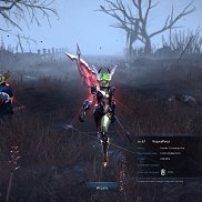 �����, 40 ���, �����������
