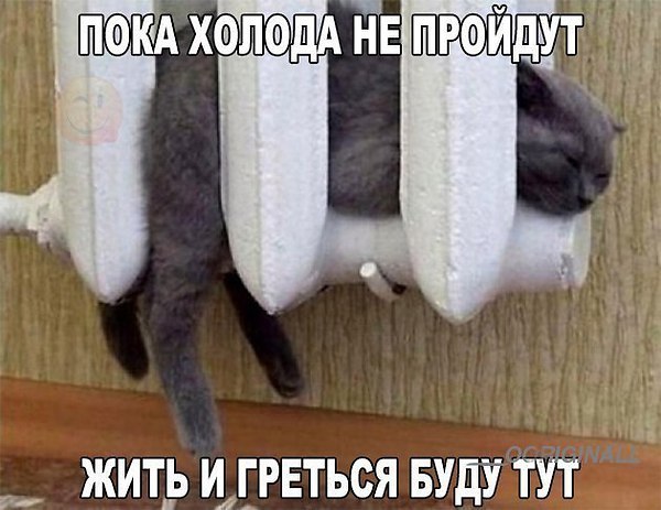   - 13  2019  03:52 - 2