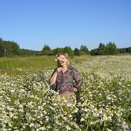 ����, ��������, 104 ����