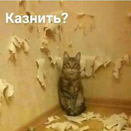 ���� �����, ������, 71 ��� - ��������� 18 ������ 2019