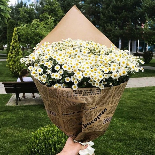 Говорят, если человек любит ромашки, значит у него добрая душа