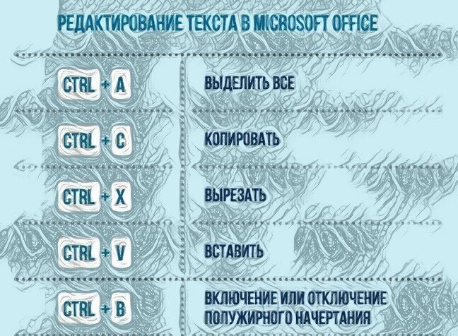 25 o o  o  e  Microsoft Office