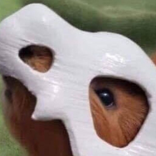   3D ! - 2