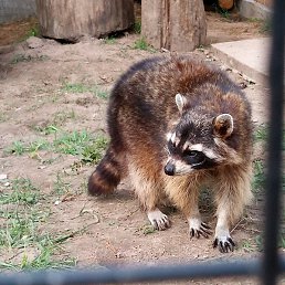 Darya., �����, 38 ���