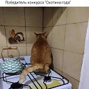 ���� ����������, ����, 59 ��� - ��������� 6 ������ 2019 � ������ ���������