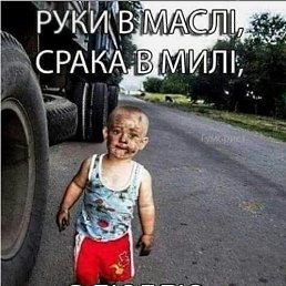 ����, ������, 68 ���