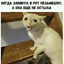 ���� ���������, ��������, 41 ��� - ��������� 20 ������� 2019 � ������ ���� ����������