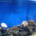 ���� �������, �������, 41 ��� - ��������� 11 ������� 2019 � ������ ���� ����������