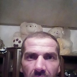 �������, ����, 44 ����