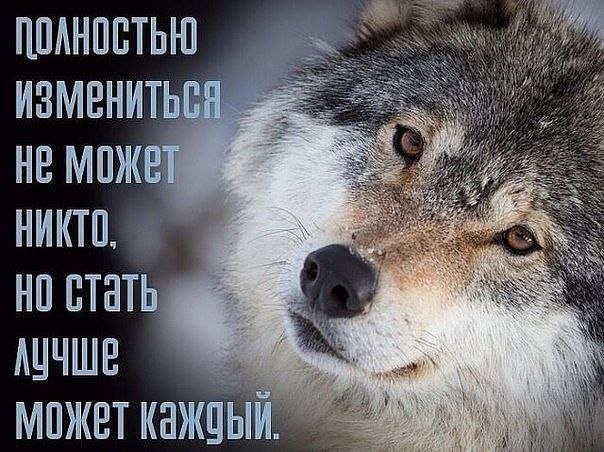   - 8  2019  17:43