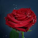 ���� ������, �������, 60 ��� - ��������� 11 ���� 2019
