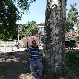 ���� �������, ��������, 47 ��� - ��������� 28 ������� 2019