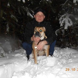 Peter, ���������, 46 ���