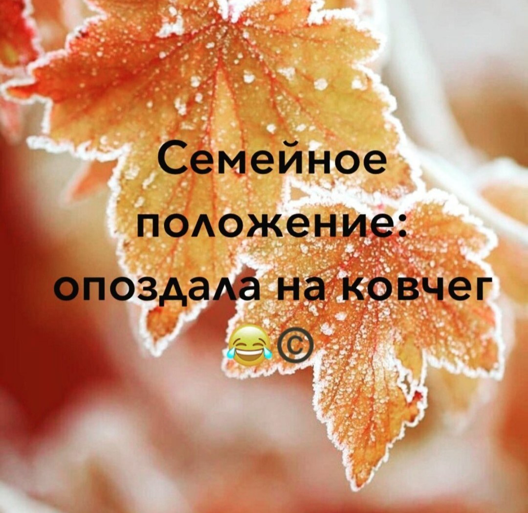 =Fox= - 21  2019  10:01