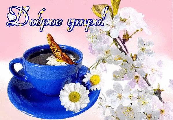 - Доброе утро! -.Вновь добрый день, пусть добротаКоснётся вас, друзья, легонько,Весна, всё нОво! ...