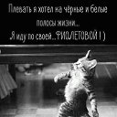 ���� Tea, ������ - ��������� 15 ������ 2019 � ������ ������ ��������