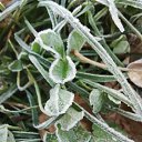  , , 50  -  4  2019   3.10.2019 