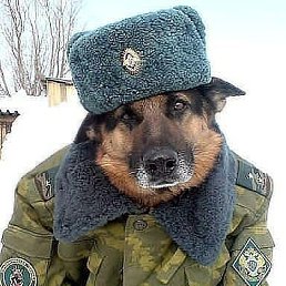 ���� ��������, ����� - ��������� 26 ������� 2019