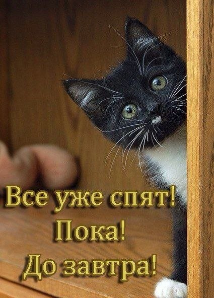 ✿ܓ☘ ������ ☕ ◕‿◕ ☕ ��������.☘ ✿ܓ - 26 �������� 2019 � 20:34
