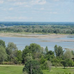 �������, ��������, 47 ���