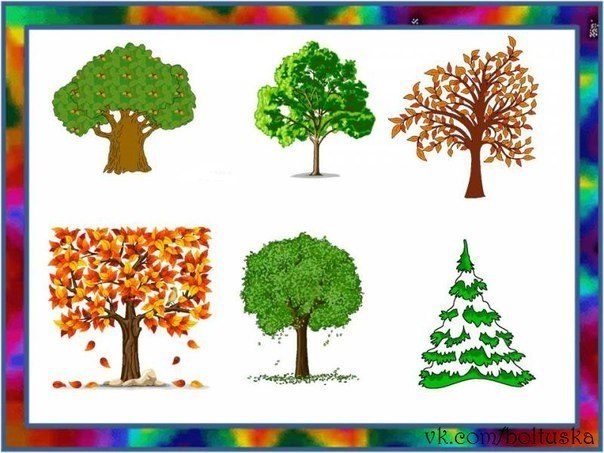 НАЗОВИ ОДНИМ СЛОВОМ. #развивающие_задания - 7