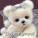 ���� �������, ������, 65 ��� - ��������� 7 ������ 2019 � ������ ���� ����������