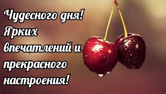   ,    . - 18  2019  10:29