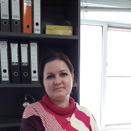 ����, ���������, 41 ���