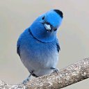 ���� ���������, ������, 42 ���� - ��������� 26 ������ 2019 � ������ ���� ����������