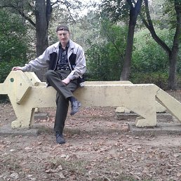 ���� ������, ������, 49 ��� - ��������� 21 ������� 2019