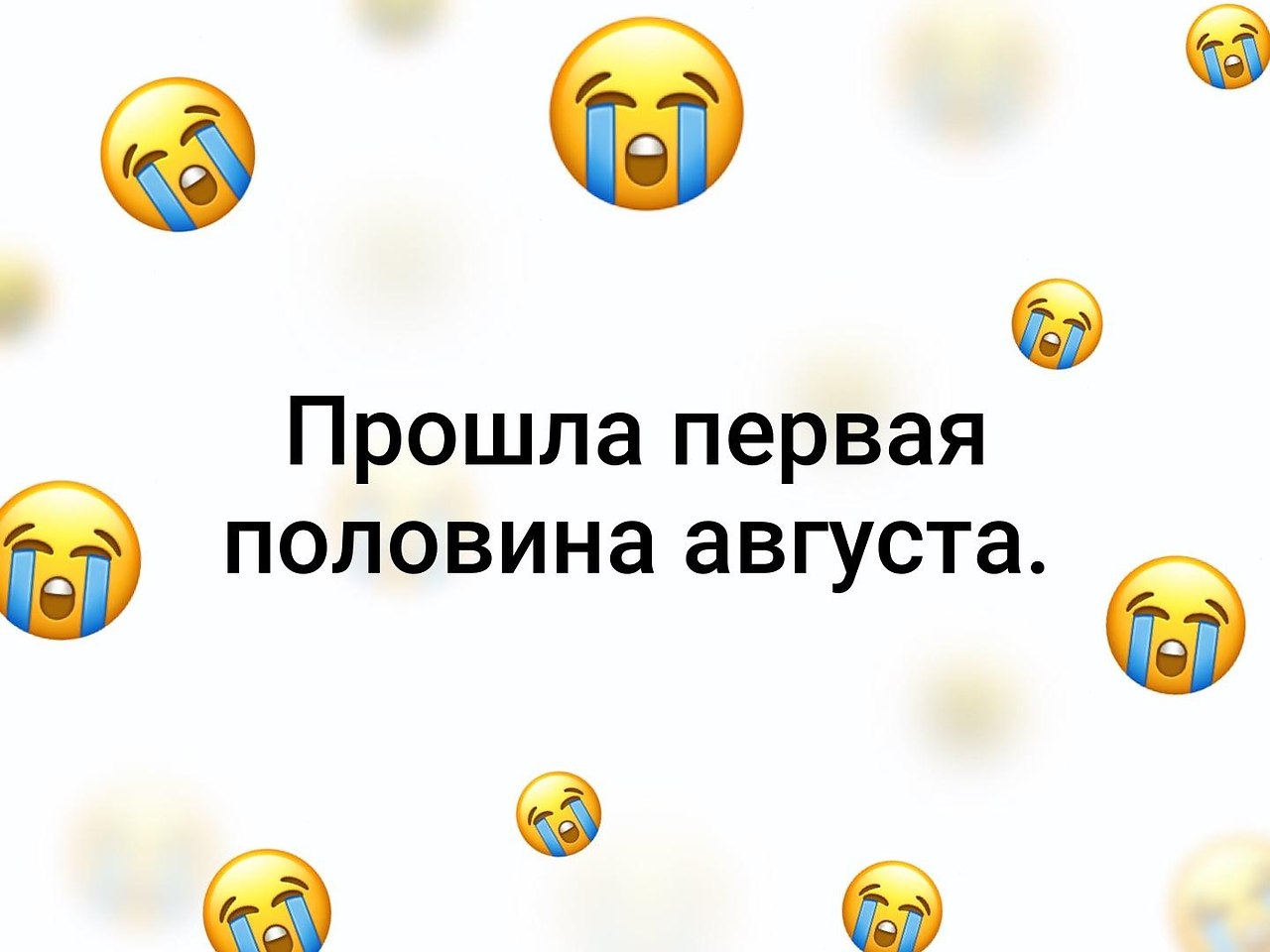  - 15  2019  19:36