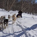 ���� ����� ���, �����-��������� - ��������� 11 ��� 2019 � ������ ��������� 2018�