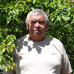 ���������, ���������, 74 ����