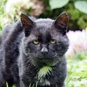 ���� �������, ������, 44 ���� - ��������� 14 ������ 2019