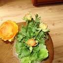 ���� Nina, ������, 73 ���� - ��������� 25 ������ 2019 � ������ ���� ����������