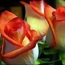 ���� ��������, ���������, 70 ��� - ��������� 7 ��� 2019 � ������ ������ ��������