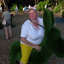  ,  , 52  -  11  2019   2019