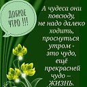 ���� ���������, �������� - ��������� 7 ������� 2019 � ������ ���� ����������