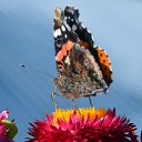 ���� ������, ������, 65 ��� - ��������� 1 ������� 2019 � ������ ���� ����������