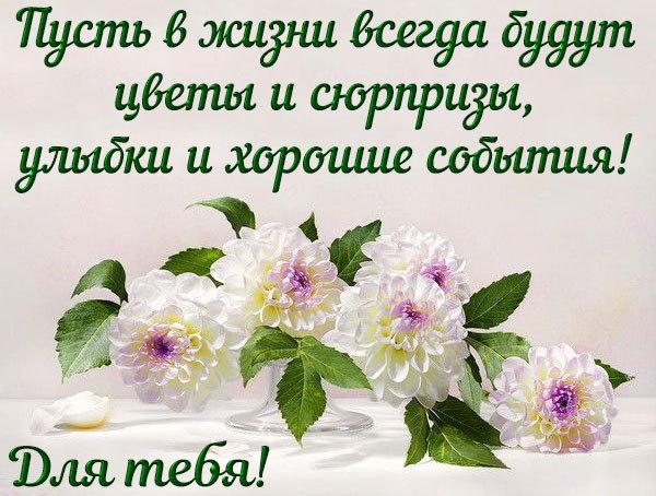   ,    . - 12  2019  23:51