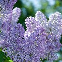 ���� ����, ����� - ��������� 7 ������ 2019 � ������ ���� ����������