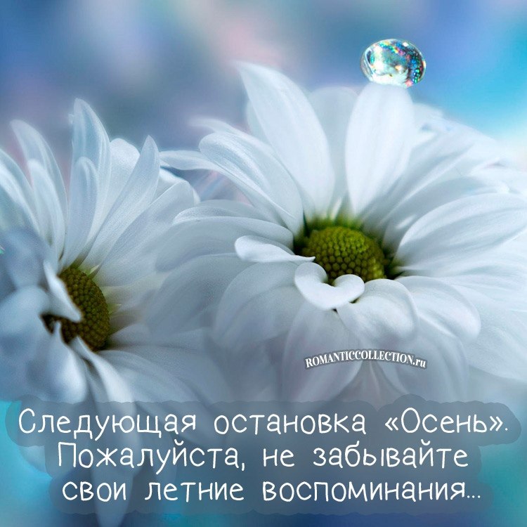   - 21  2019  11:18