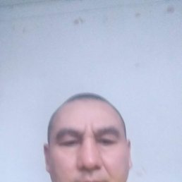 ���� ����, ��������, 61 ��� - ��������� 9 ���� 2019