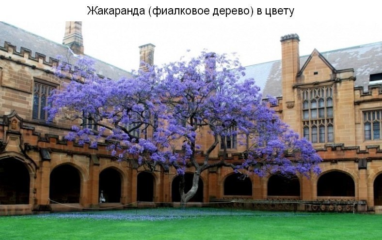 9 a e e  o . ? - 3