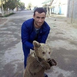 �����, �������������, 38 ���