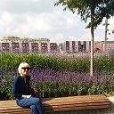 ���� Nattis, ������, 58 ��� - ��������� 31 ������� 2019 � ������ ���� ����������