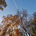  , , 50  -  9  2019    2019